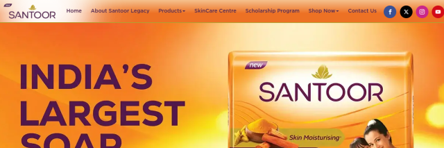 Santoor Stay Young